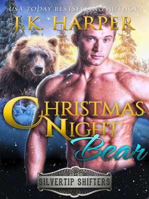 cover image of Christmas Night Bear